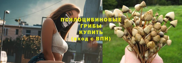 ПСИЛОЦИБИНОВЫЕ ГРИБЫ Баксан