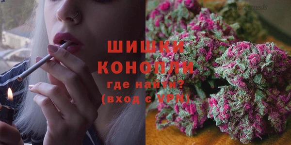 крисы Балахна
